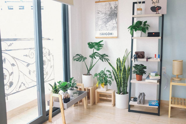 living room ideas plant wall